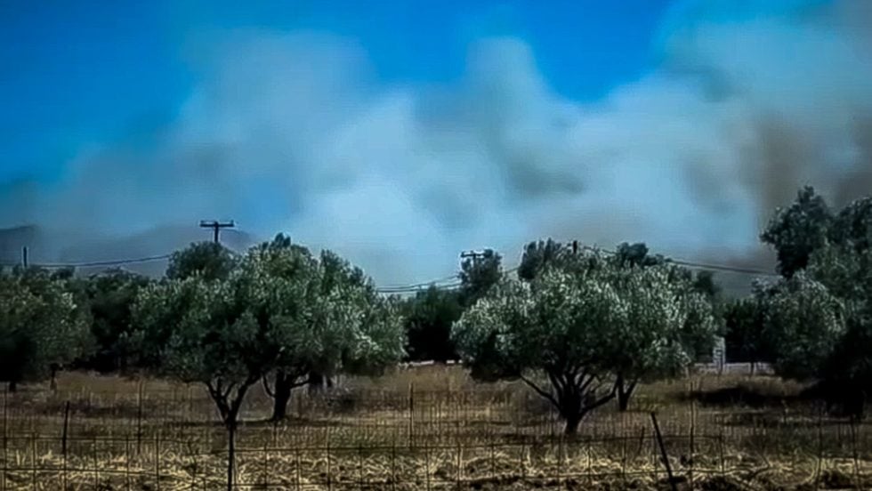 aliveri_1020